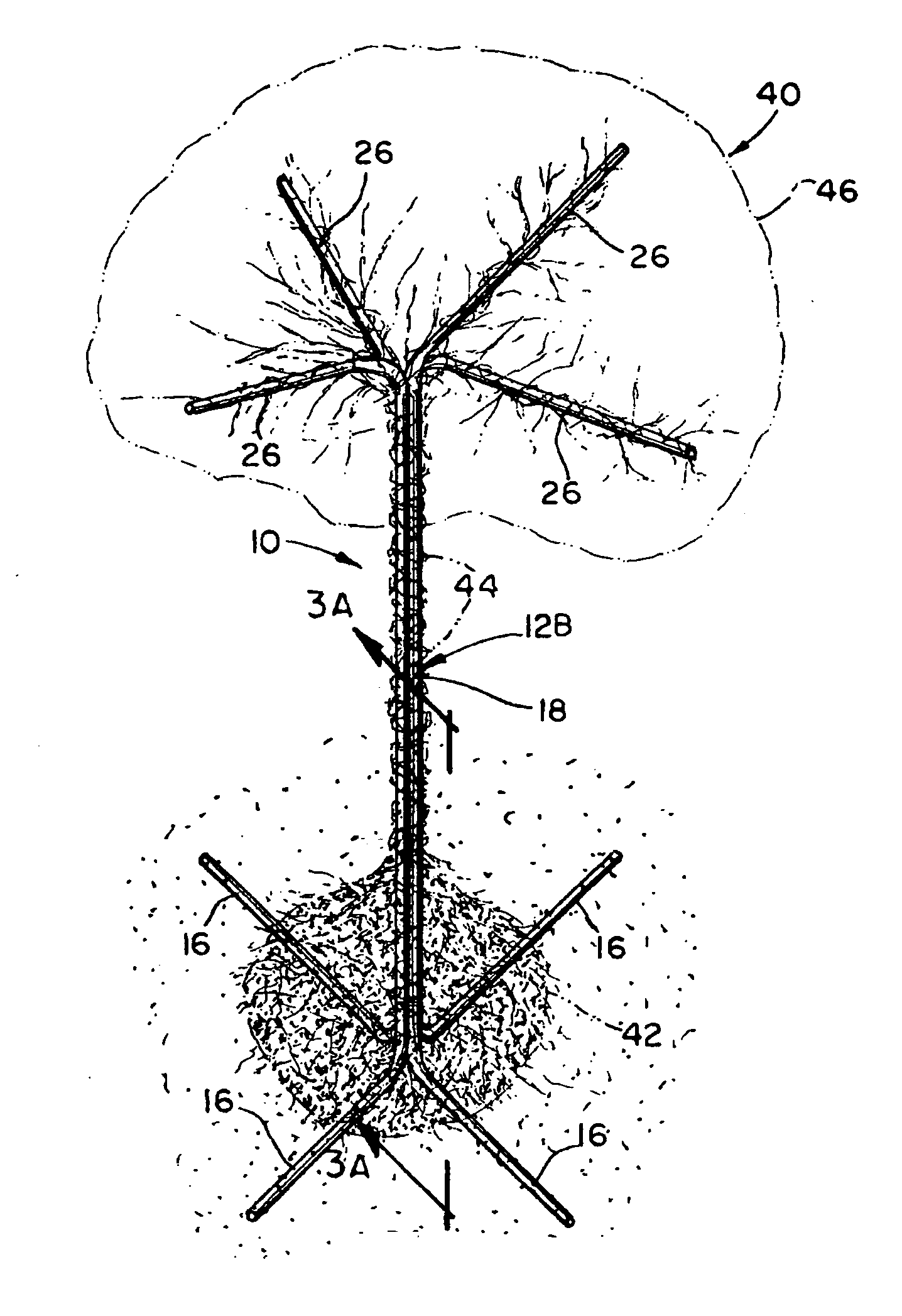 Permanent underground staking system and apparatus for vines and weakly rooted trees