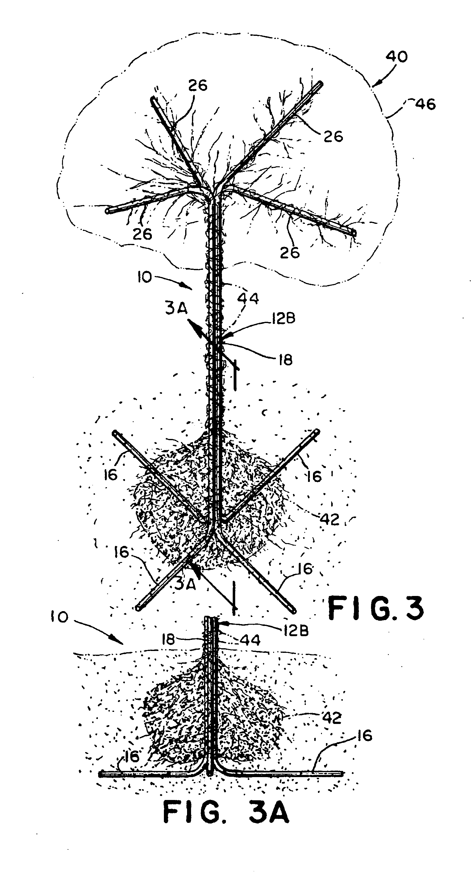Permanent underground staking system and apparatus for vines and weakly rooted trees