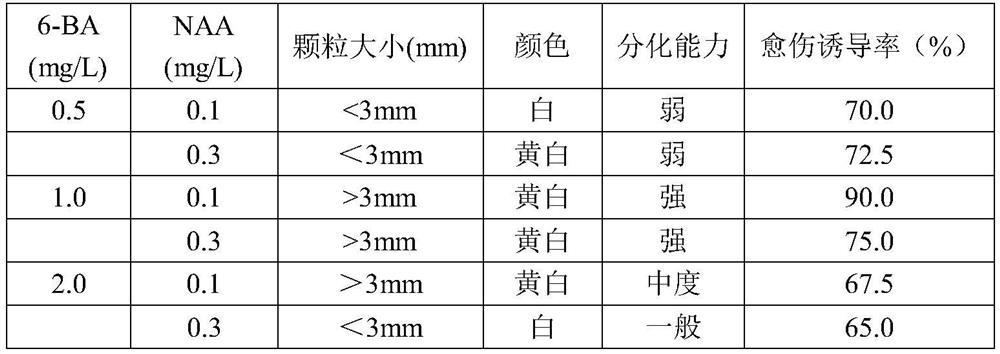 Fig callus culture method