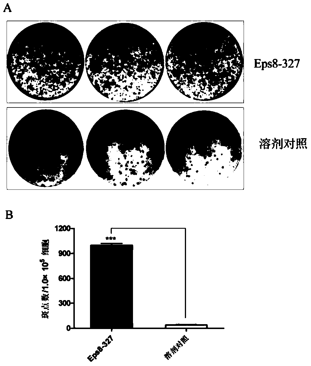 A dual antitumor polypeptide based on the EPS8-EGFR binding domain