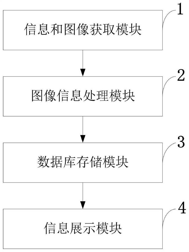 Liver lesion image processing method and system, storage medium, program and terminal
