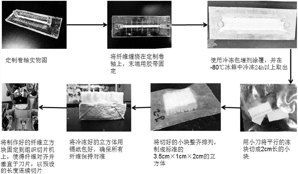 Method for preparing rodlike fluorescent labeled microplastics