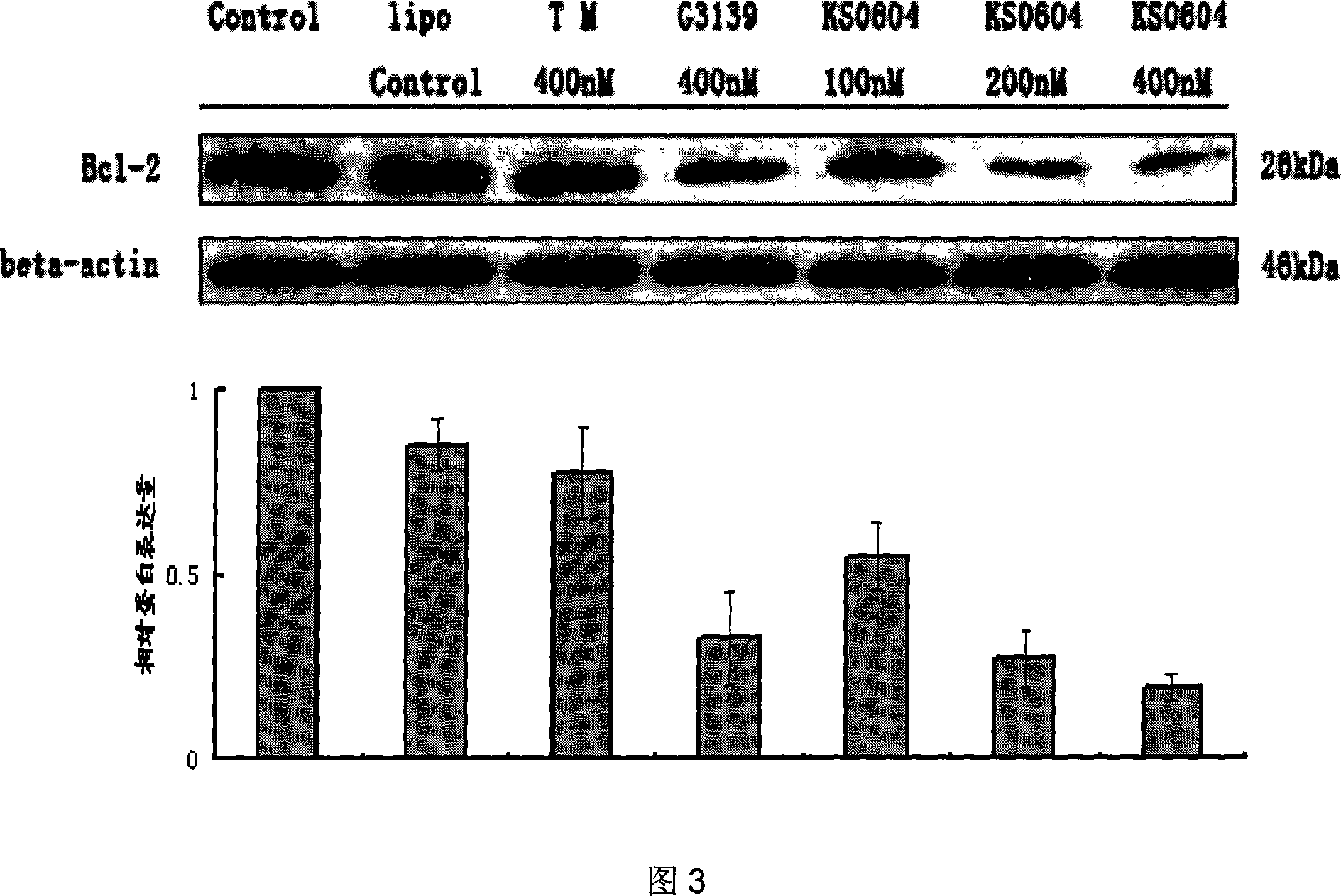 Antitumor use of antisense thionucleotide