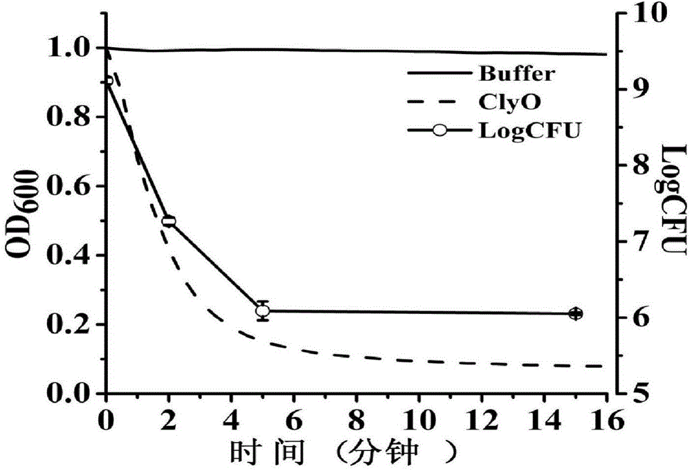 Staphylococcus lyase and application thereof