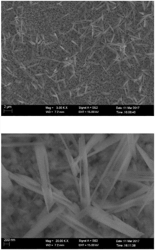 Nano copper hydroxide electrode applied to glucose detection and preparation method thereof