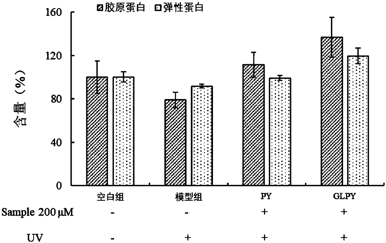 Skin aging-resistant tetrapeptide and use thereof