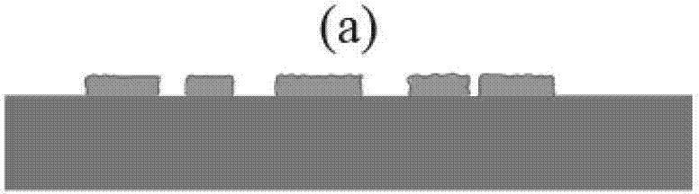 Function coating imaging-self method of polydimethylsiloxane three-dimensional structure