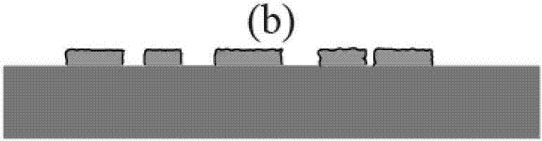 Function coating imaging-self method of polydimethylsiloxane three-dimensional structure