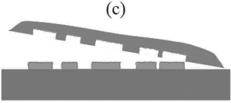 Function coating imaging-self method of polydimethylsiloxane three-dimensional structure