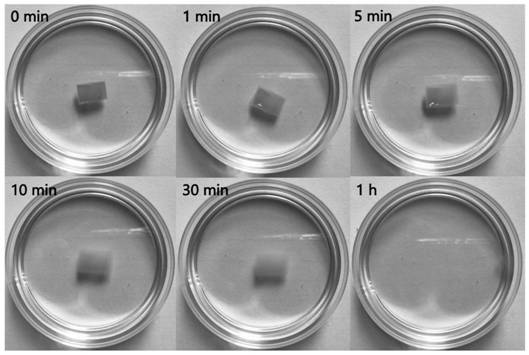 Preparation method of montmorillonite film capable of stably existing in solution