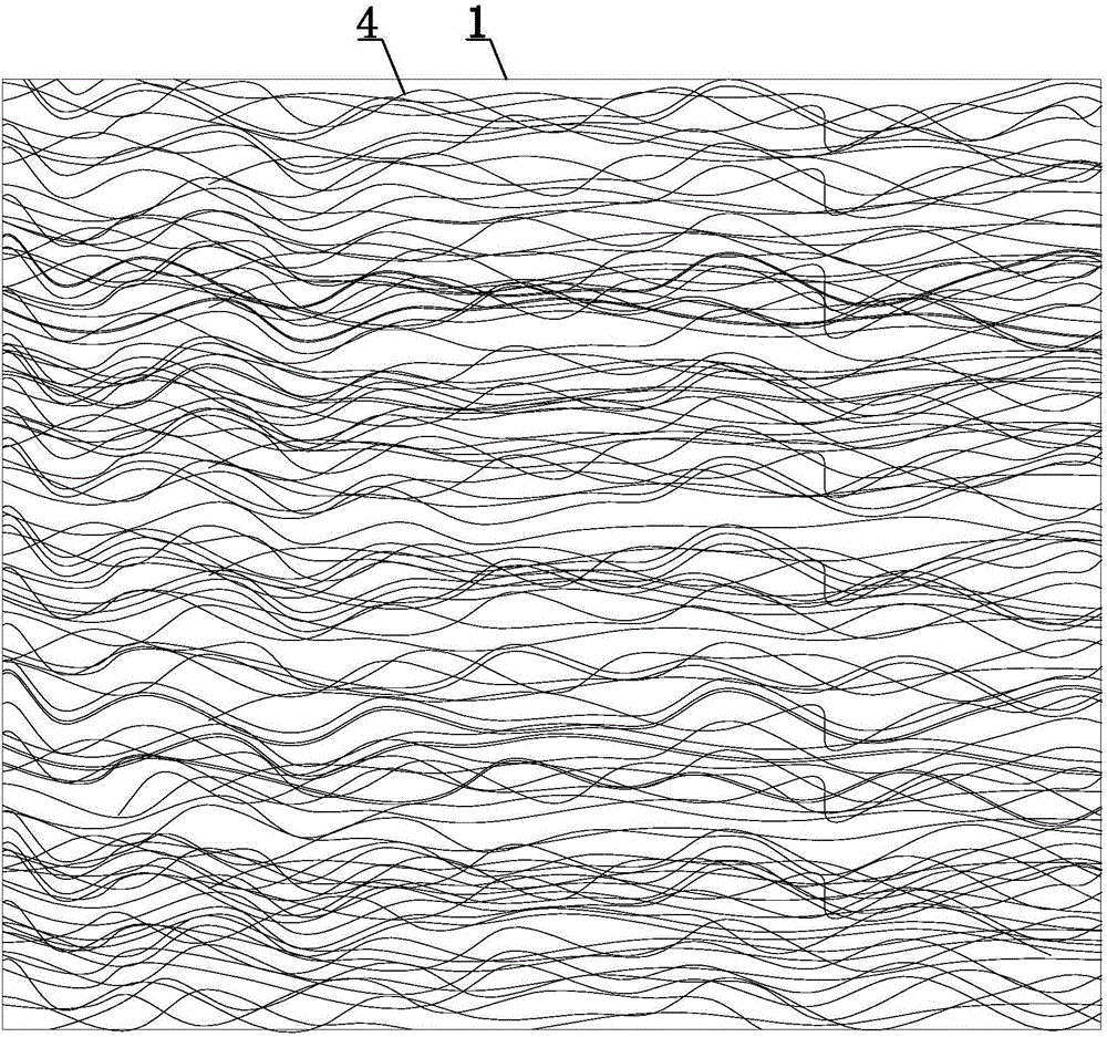 Firm silk film and processing method thereof