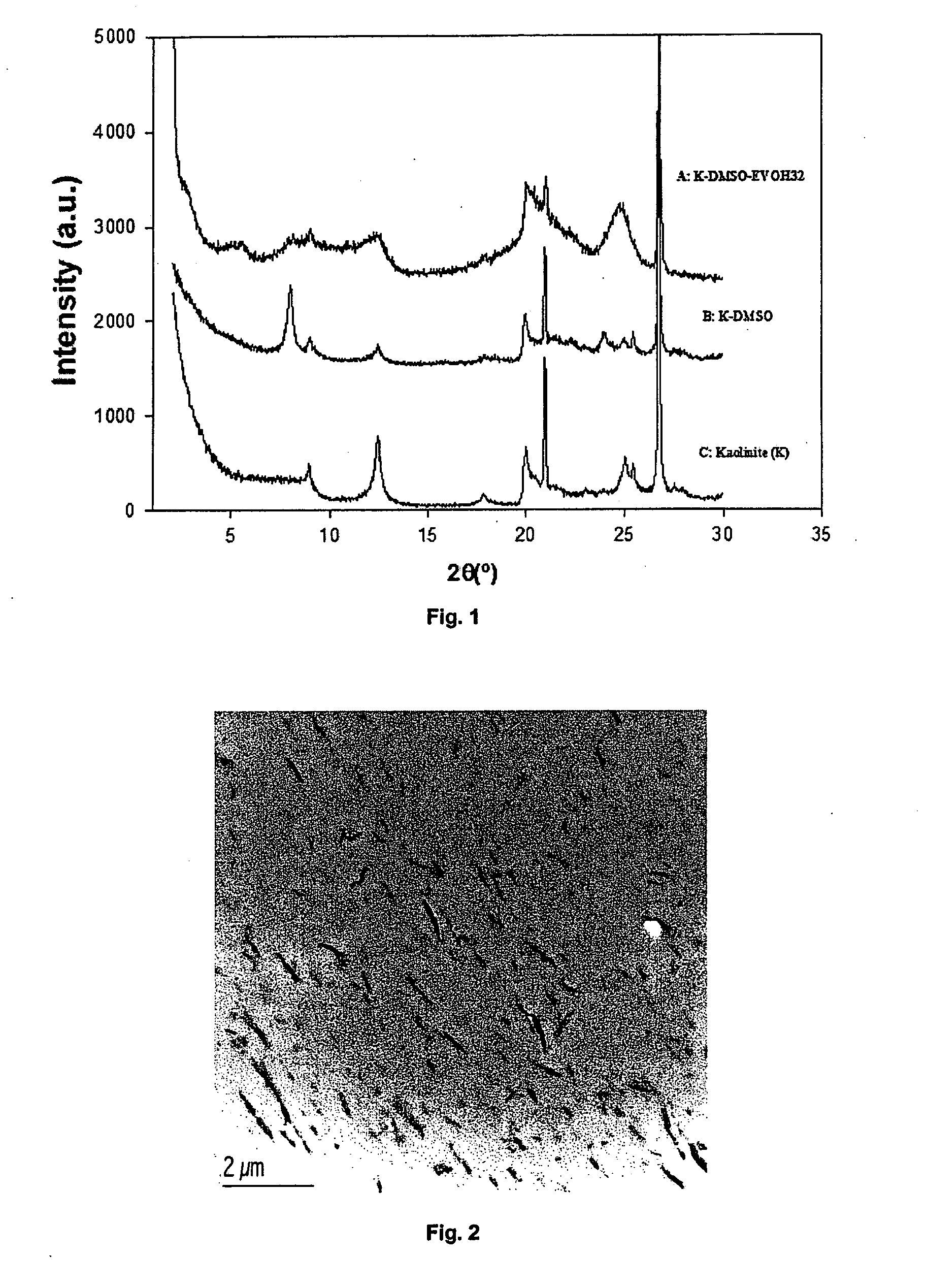 Process for manufacturing nanocomposite materials for multisectoral applications