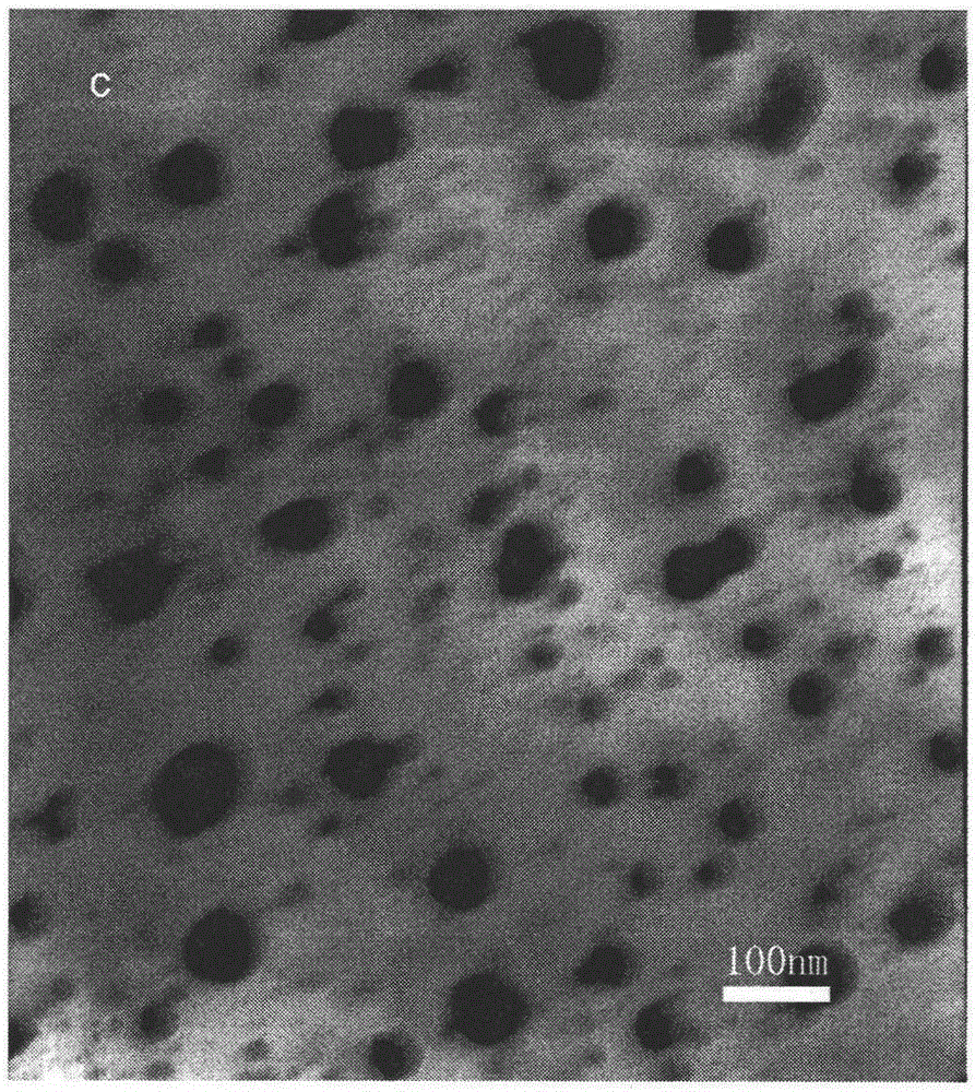 A kind of preparation method of core-shell magnetic/gold nanoparticles