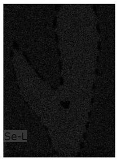 A kind of preparation method of fe(se,te) superconducting wire