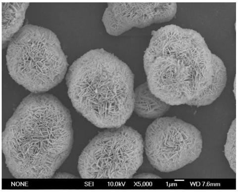 Improved preparation method of large single crystal layered positive electrode material for lithium ion battery