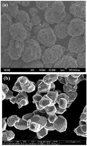 Improved preparation method of large single crystal layered positive electrode material for lithium ion battery