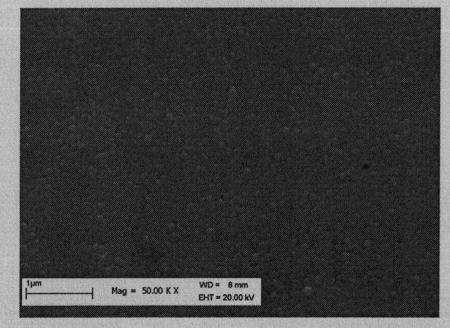 Method for preparing independent self-supporting transparent aluminium nitride nanocrystalline film