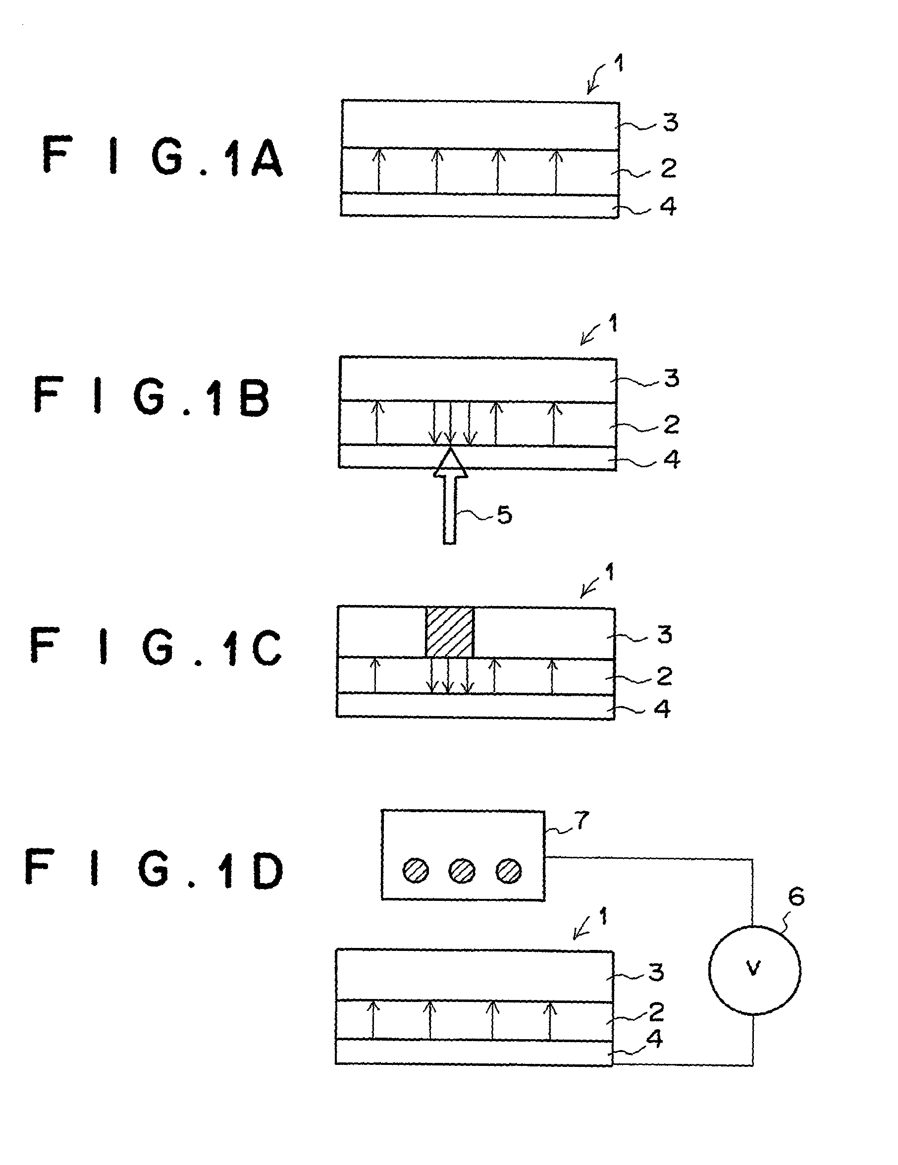 Method and apparatus for displaying image by producing polarization inversion in ferroelectric member and producing contrast in contrast production member
