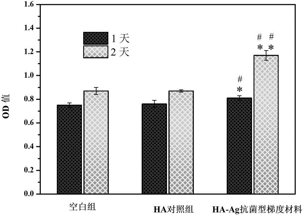 Preparation method of antibacterial functional gradient porous HA-Ag bone filling scaffold with active interlayer