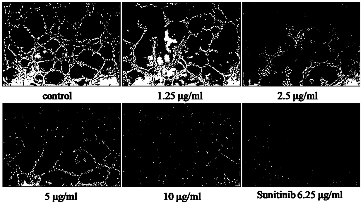 Application of a compound in the preparation of rtki and/or anti-angiogenic drugs