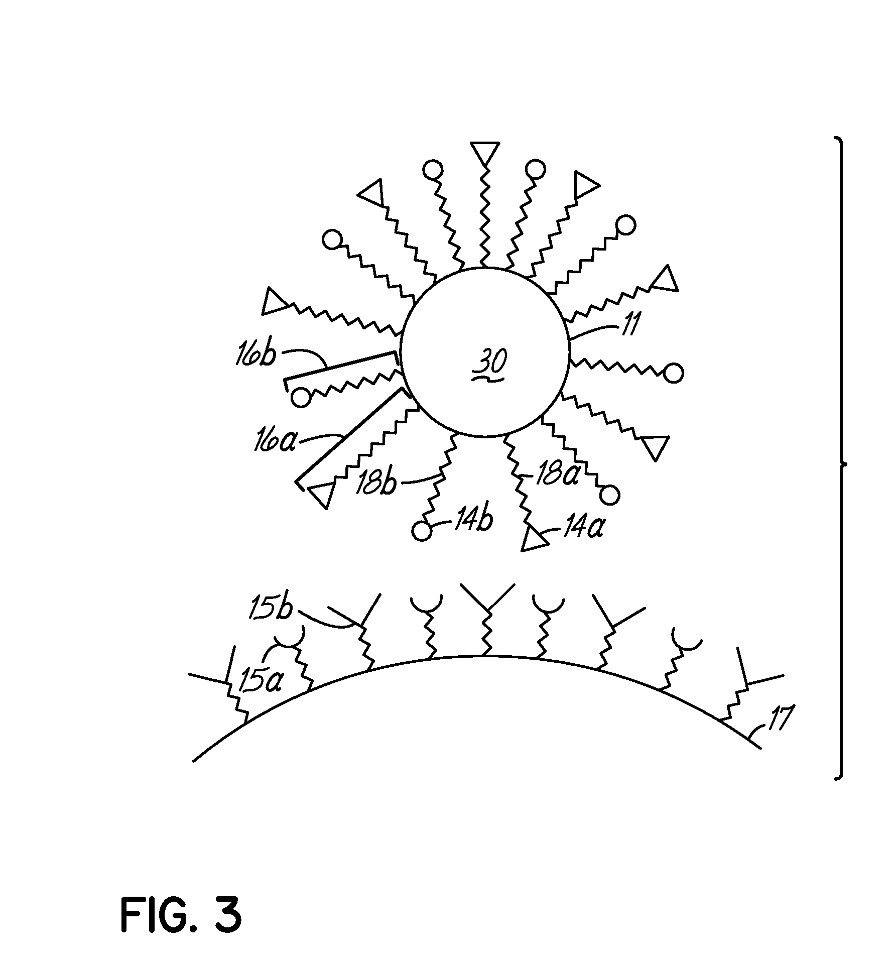 Multicomponent assemblies having enhanced binding properties for diagnosis and therapy