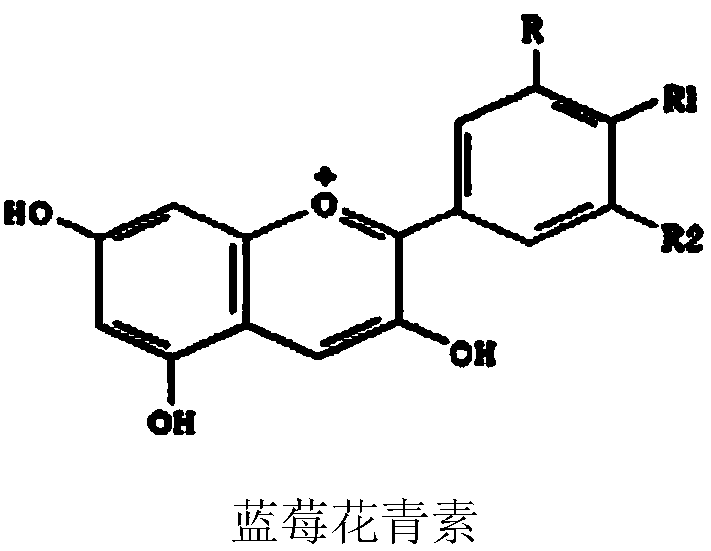 Method for detecting anthocyanidin content of blueberries and application