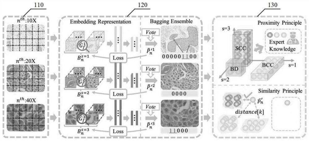 Subtype classification method and device for histopathologic section, medium and terminal