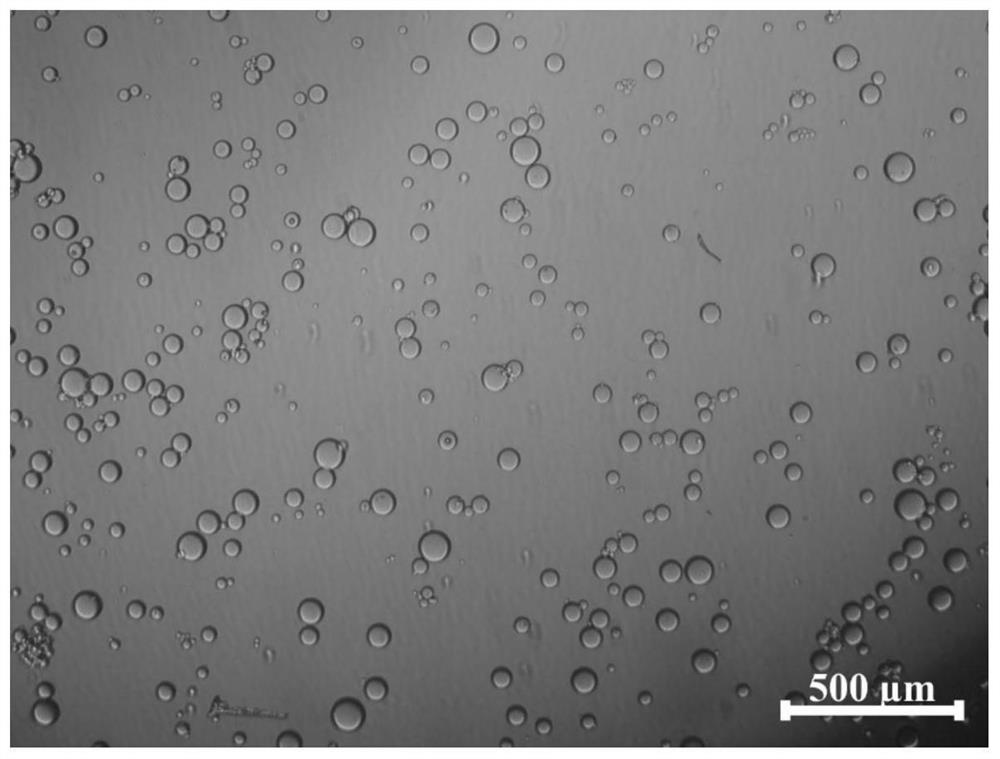 Preparation method of polysaccharide-active protein/polypeptide-based active hydrogel microspheres with high cell affinity