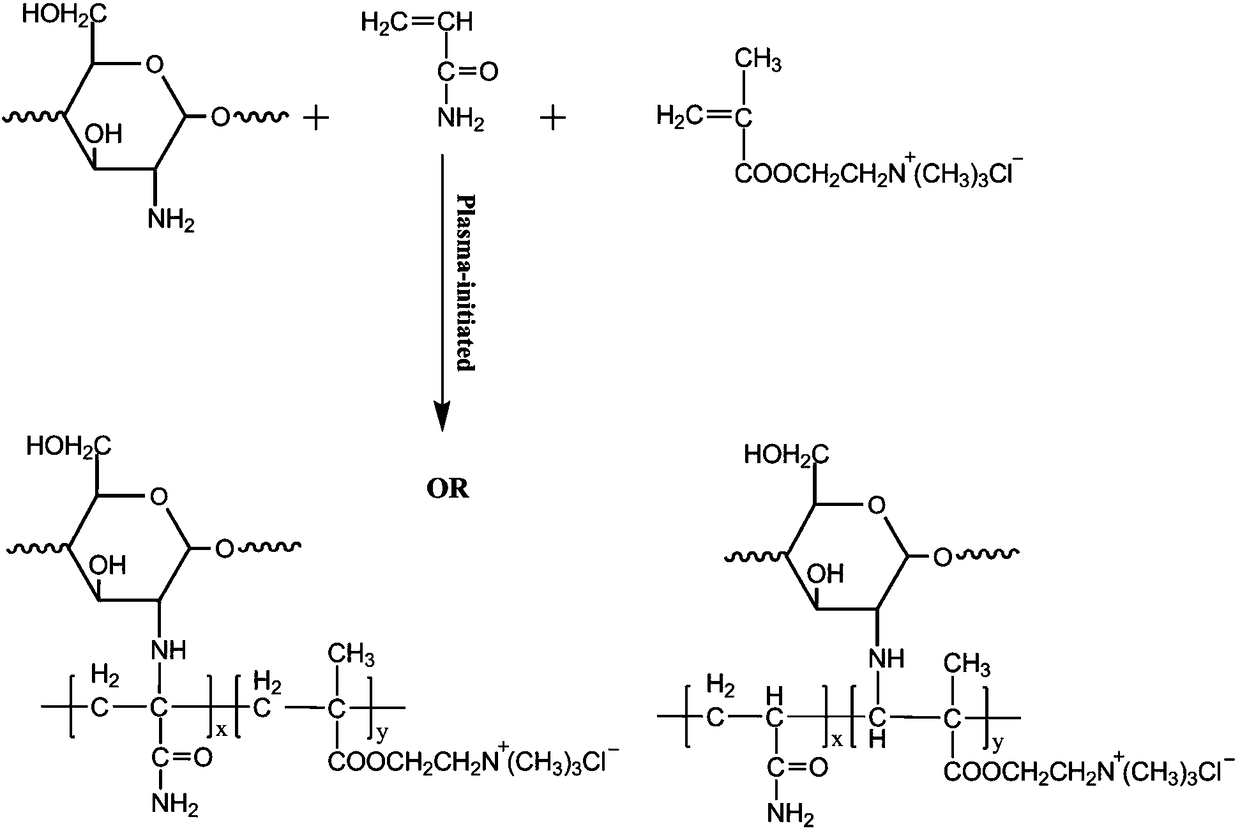 Method using plasma to induce synthesis of chitosan-based flocculant