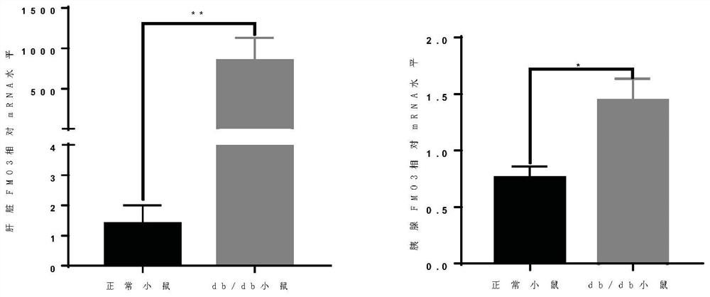 Application of FMO3 as target in screening of drugs or models for preventing and treating pancreas islet function damage