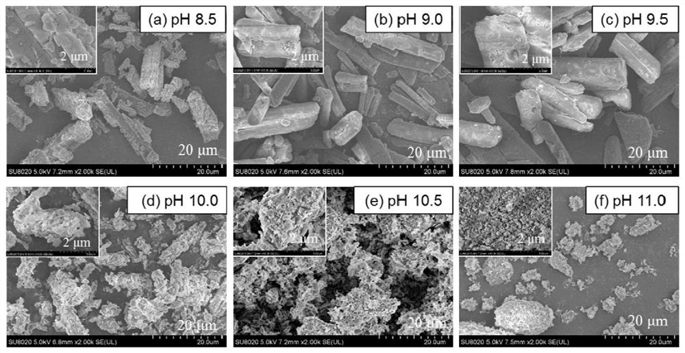 Method for producing biogas by co-fermentation of blue-green algae and bottom mud