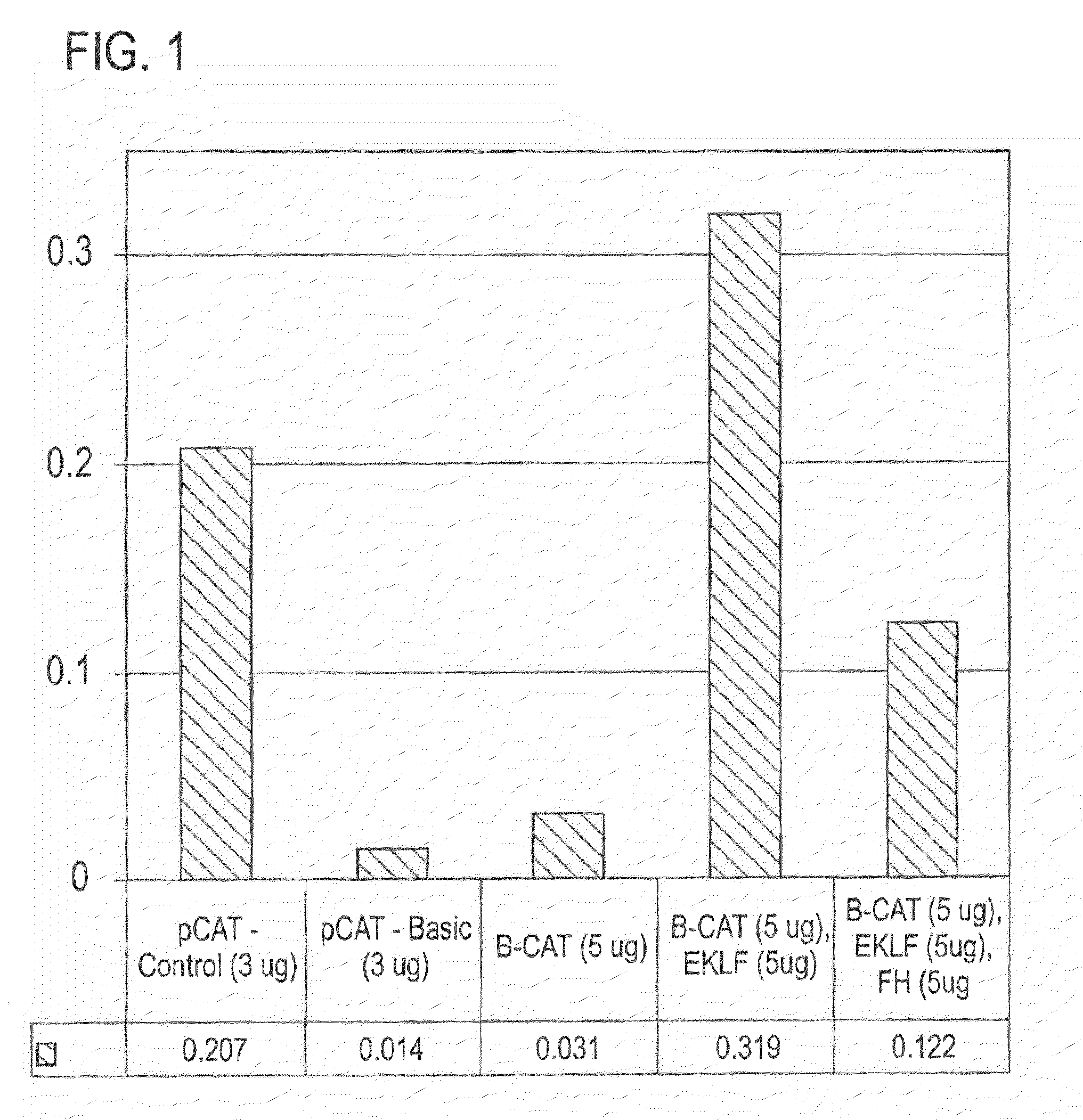 Method for Regulating Production of Hemoglobin Beta Chains