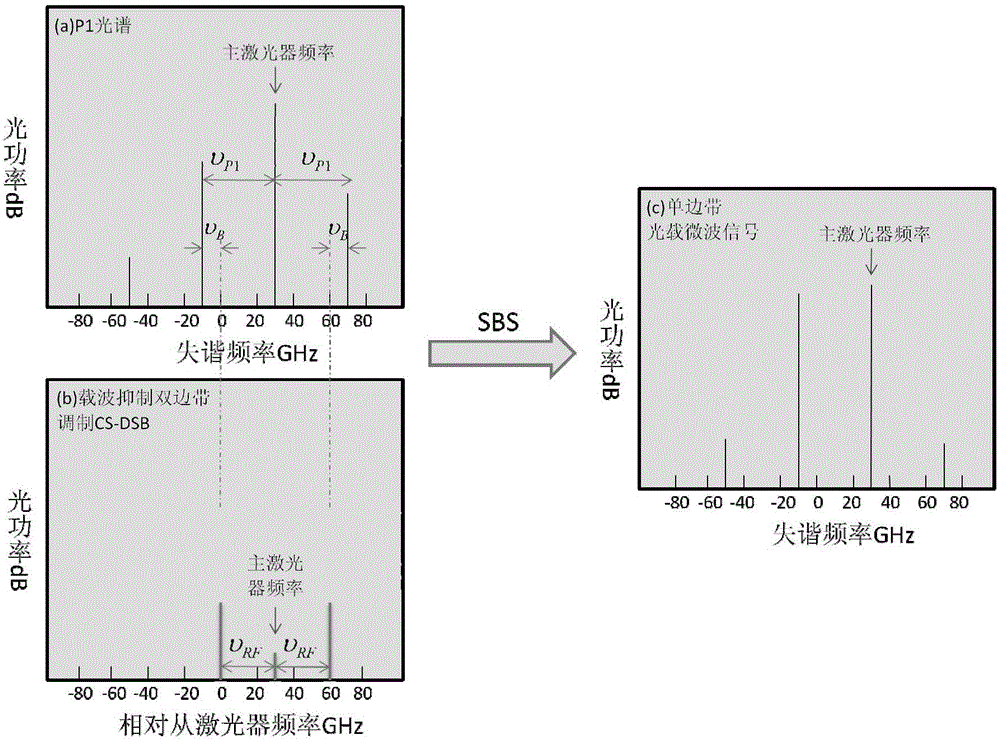 Single-sideband optical carrier microwave signal generating device based on stimulated Brillouin scattering