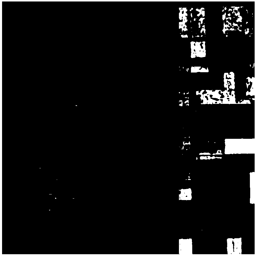 SAR image registration based on anisotropic speckle suppression model