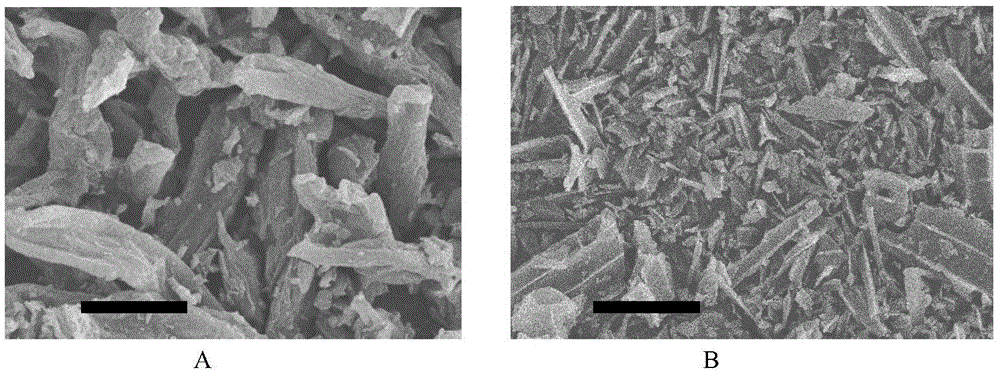 A kind of preparation method of mulberry base solid acid