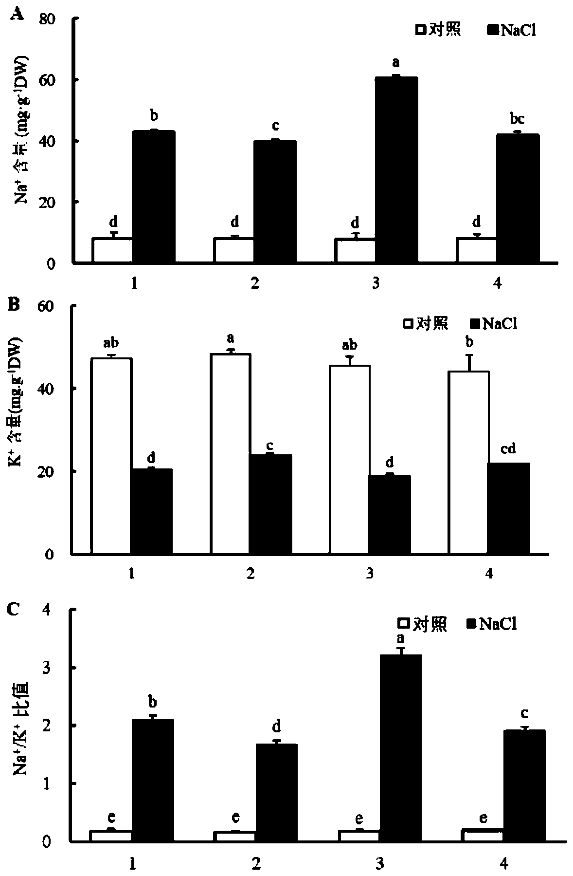 Tamarix chinensis plasma membrane Na+/H+ antiporter gene and application thereof