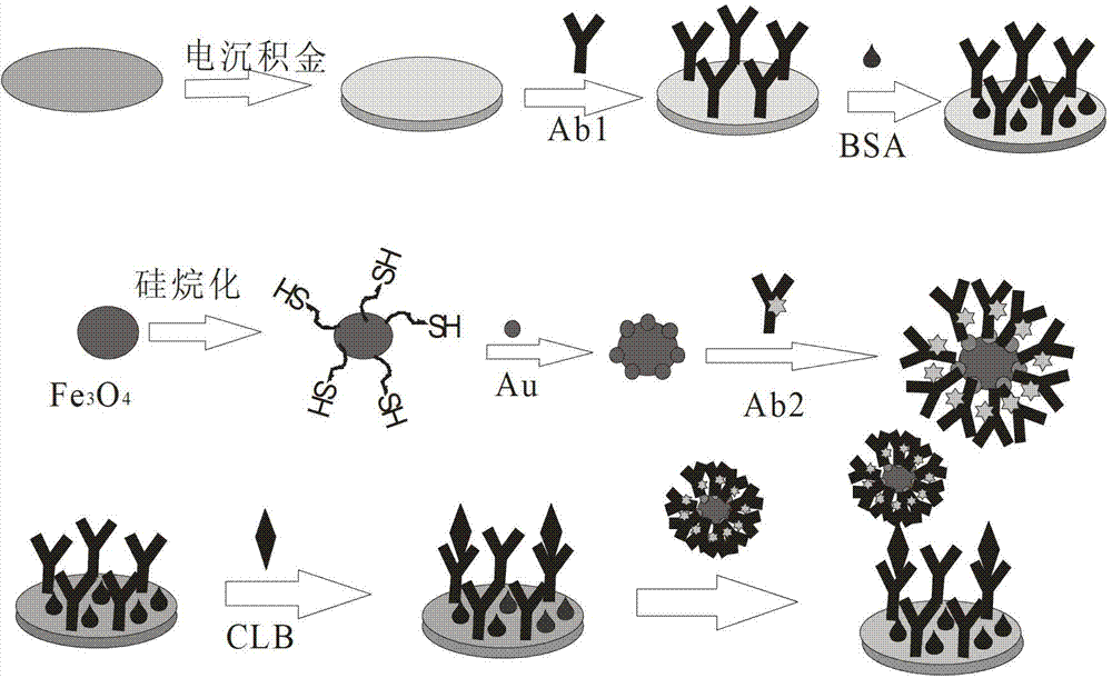 Preparation method and application of magnetic sandwich nano immunosensor