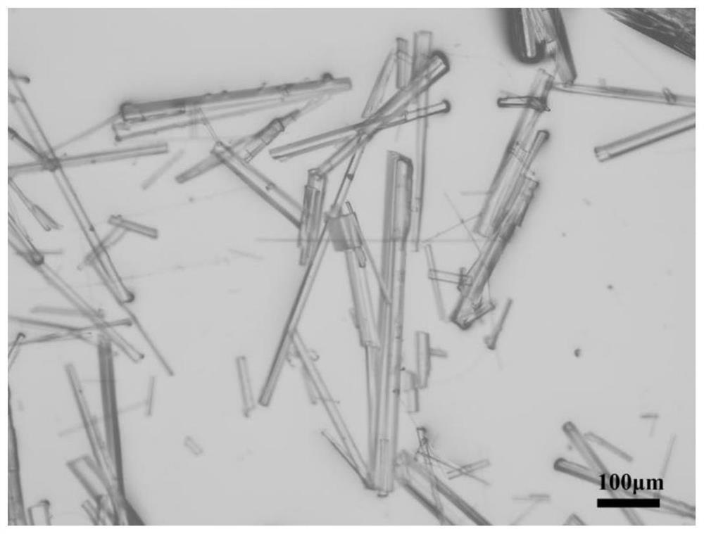 Etoricoxib-resorcinol pharmaceutical co-crystal and preparation method thereof