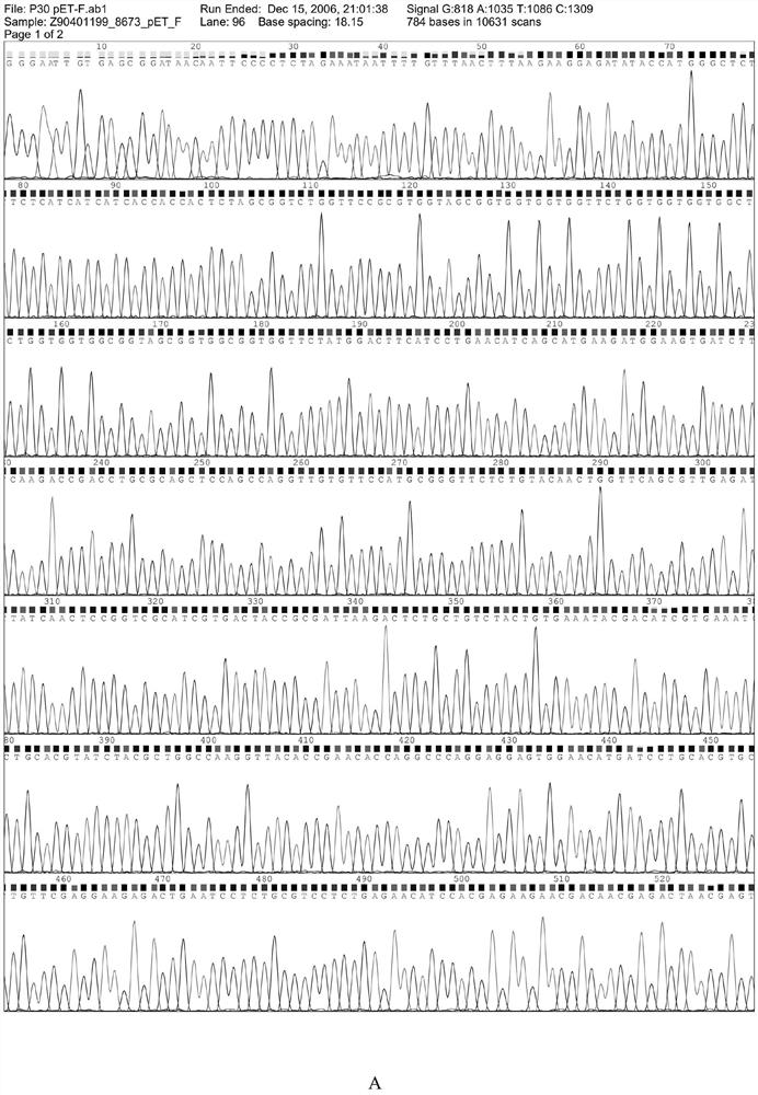 Kit and detection method capable of synchronously detecting African swine fever virus antigens and antibodies in swine blood