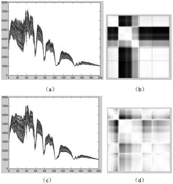Nearest neighborhood hyper-spectral image classification method based on dictionary and band restructuring