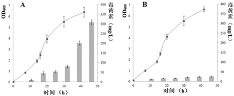 Screening and application of burkholderia gladioli real-time quantitative polymerase chain reaction (PCR) reference genes and primers thereof