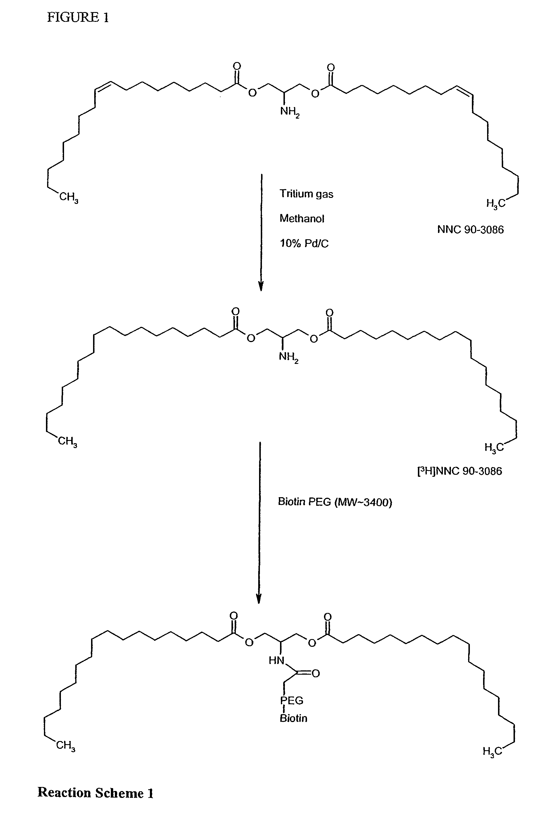 Biotin-peg-substrate for a lipase assay
