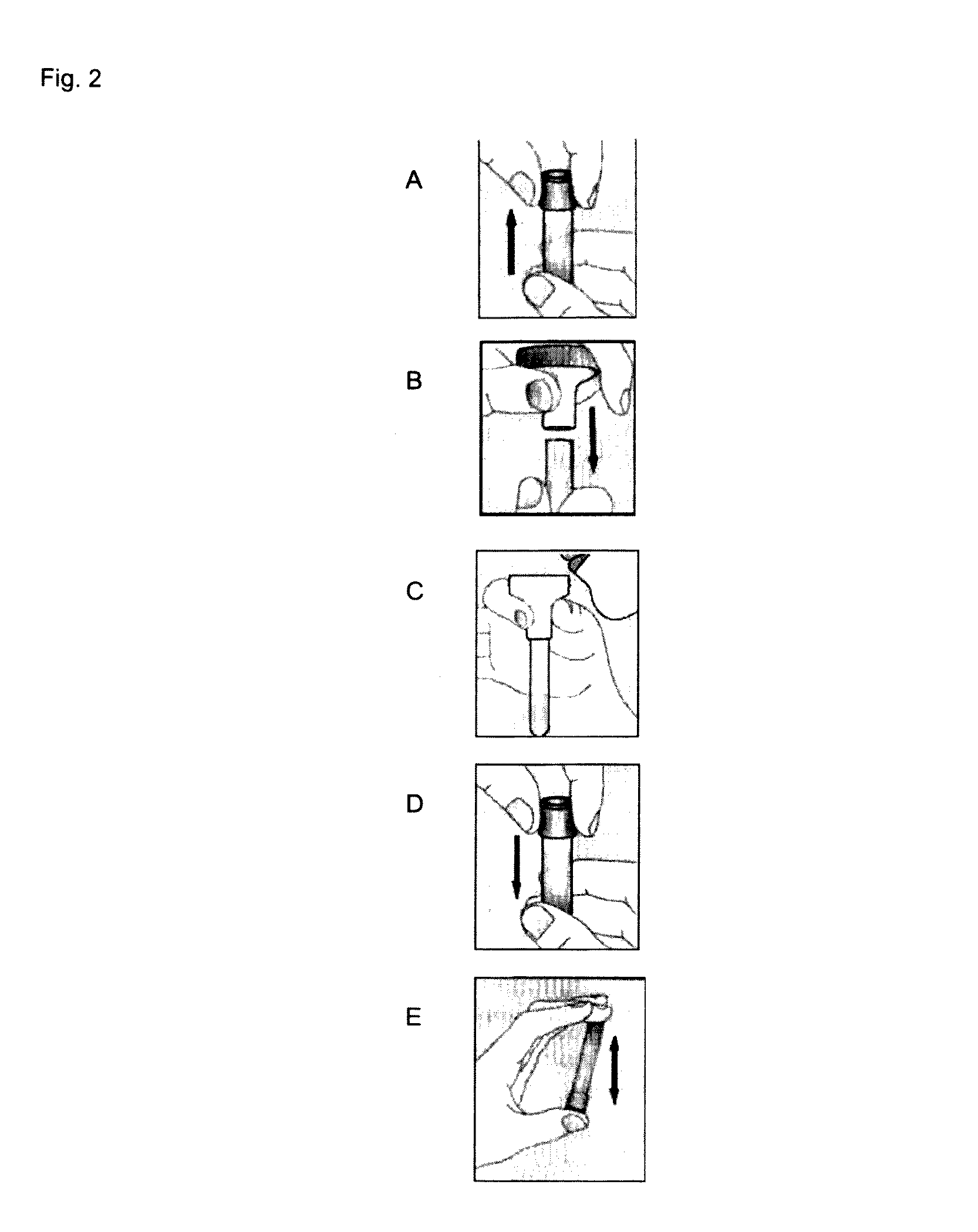 System for the stabilization, conservation and storage of nucleic acid