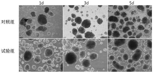 A kind of islet cell cryopreservation solution and its application method
