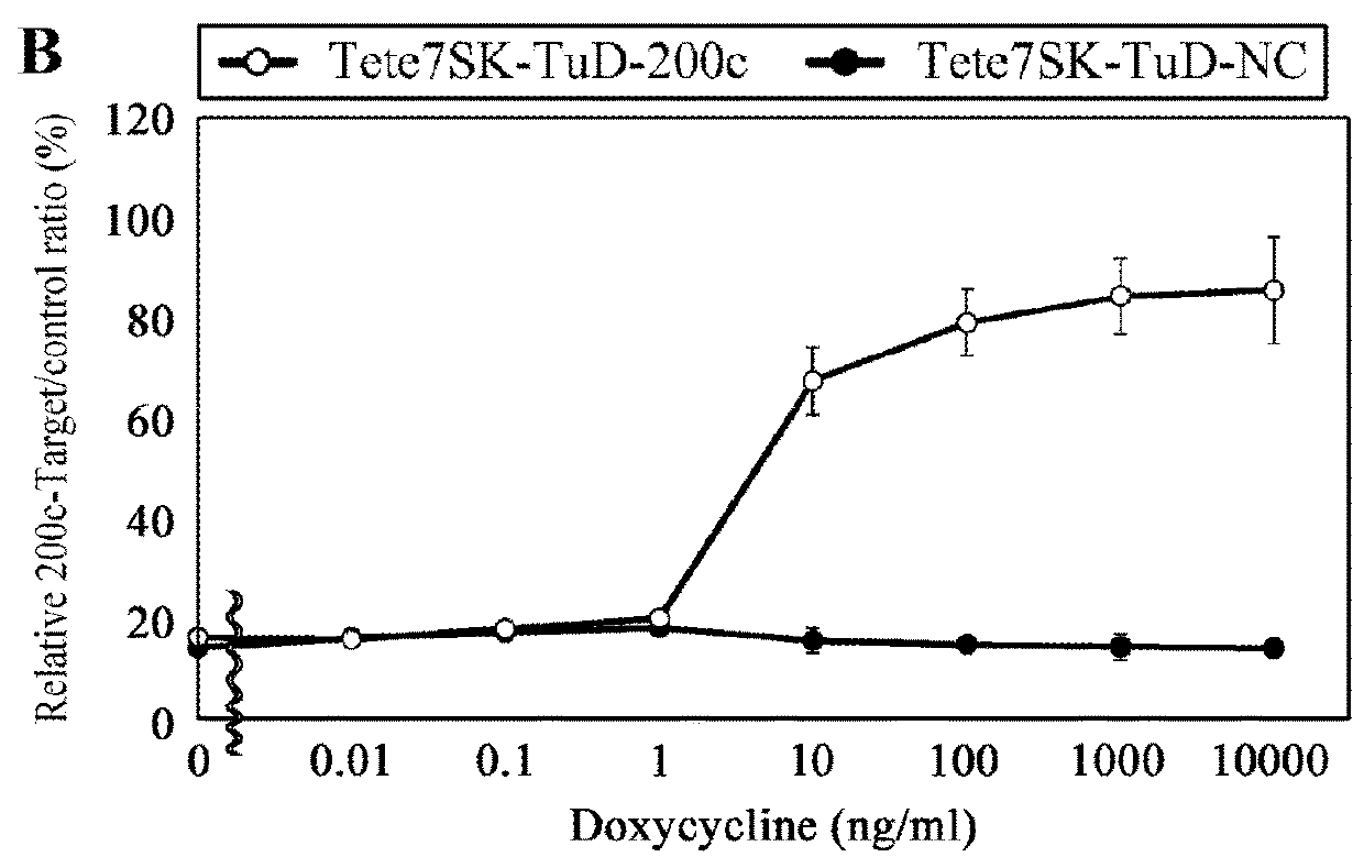 Method for suppressing tumors by mir-200 family inhibition