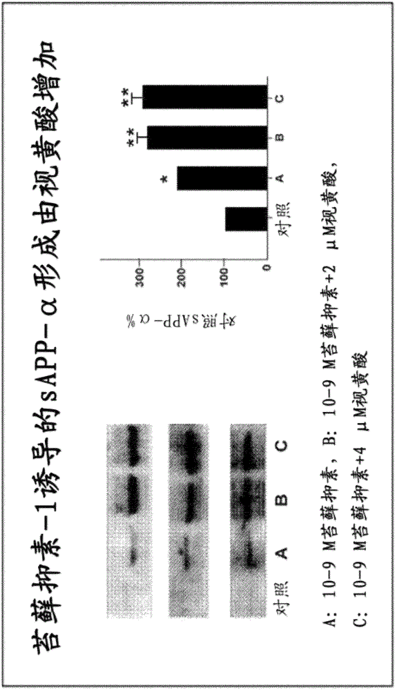 Combination therapeutics and methods for the treatment of neurodegenerative and other diseases