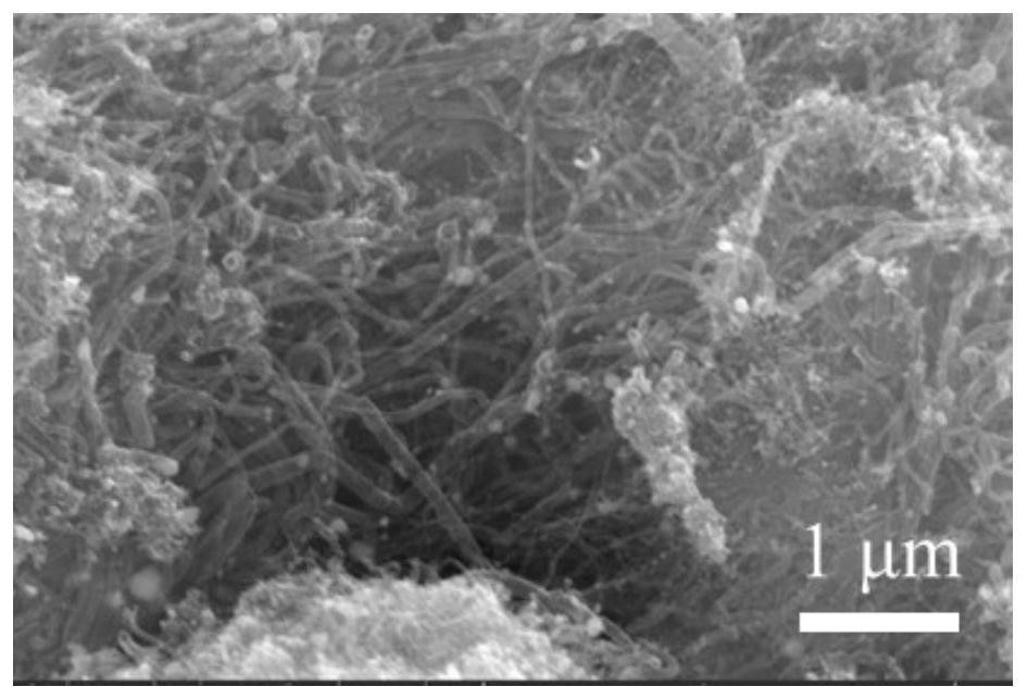 Nickel-encapsulated boron and nitrogen co-doped carbon nanotube wave-absorbing material and preparation method thereof