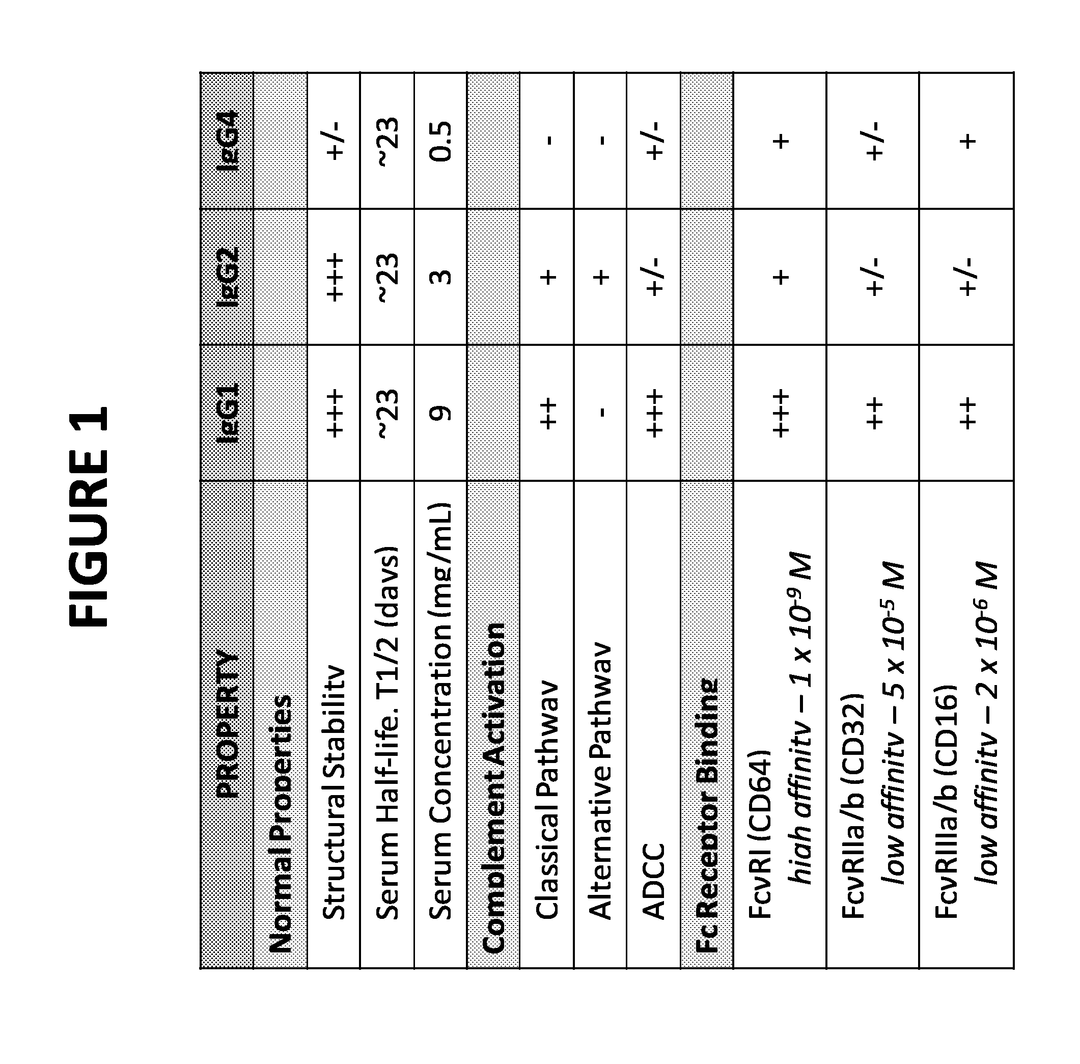 Aglycosylated human antibody and fusion protein and uses thereof