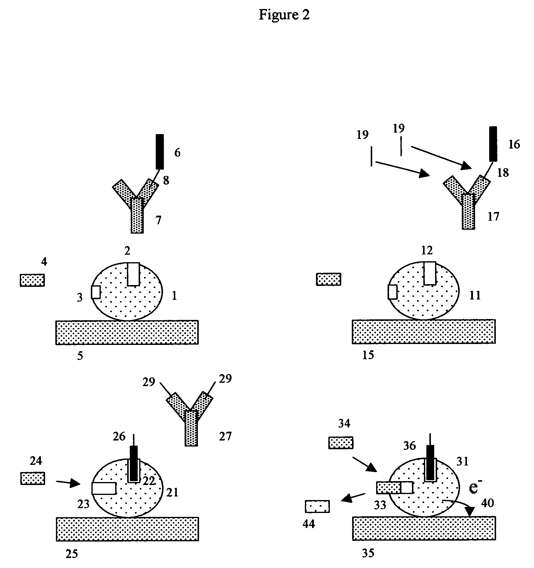 Apoenzyme reactivation electrochemical detection method and assay