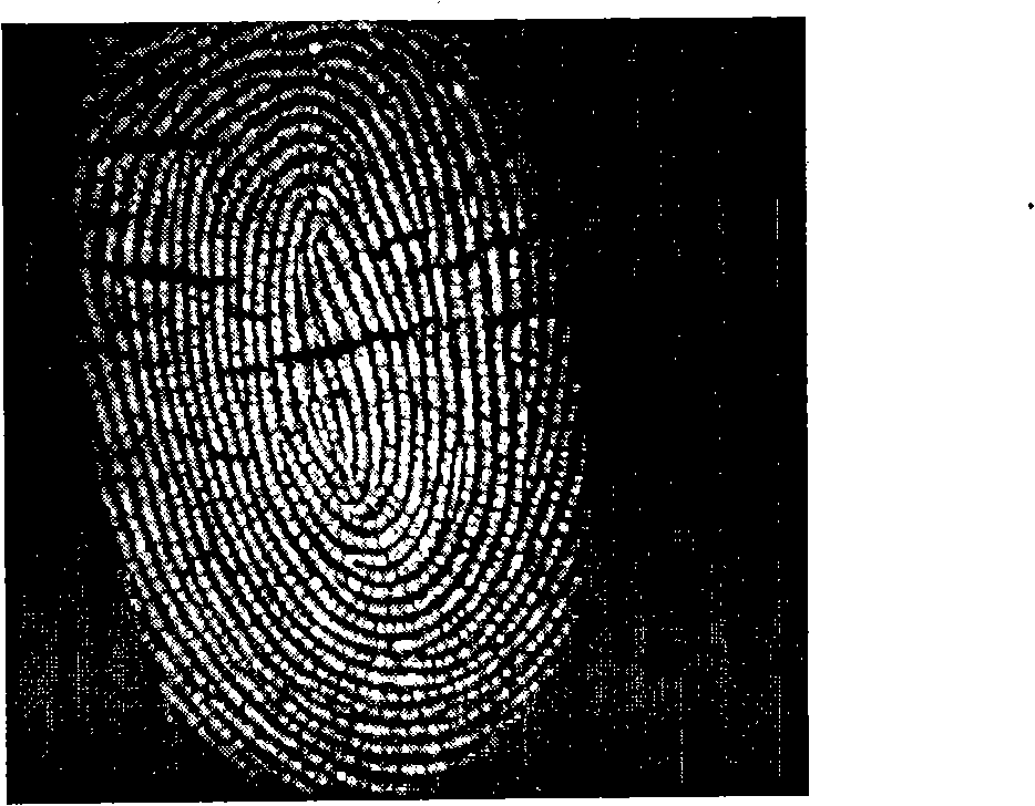 Method for rapidly positioning robust of finger print core point